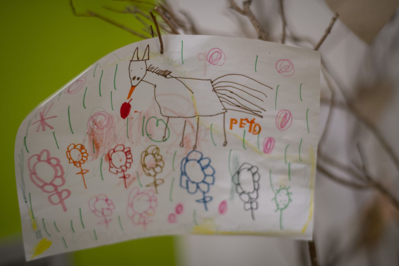 À côté de corbeilles de fruits et de pain réservées au cheval, on peut voir dans les couloirs de l’unité de nombreux dessins d’enfants à l’effigie du docteur Peyo.